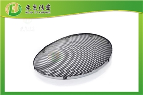 網孔12